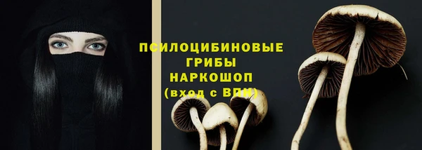 ECSTASY Алексин